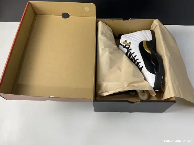 Reps LUCY Royalty Air CT8013-170 Jordan 12 0616